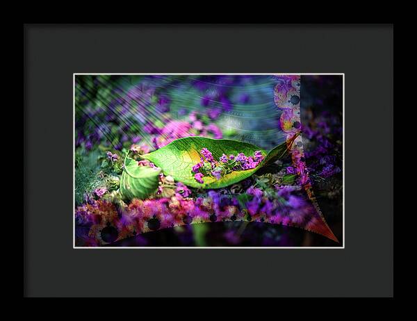 Magenta Petals Carefully Carried by a Leaf - Framed Print