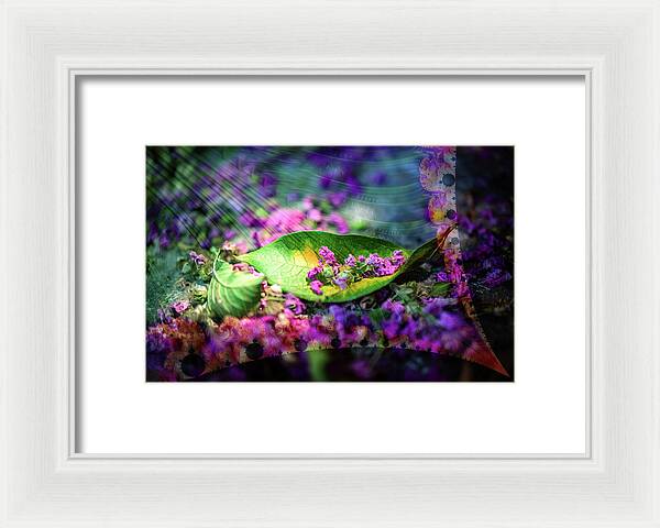 Magenta Petals Carefully Carried by a Leaf - Framed Print