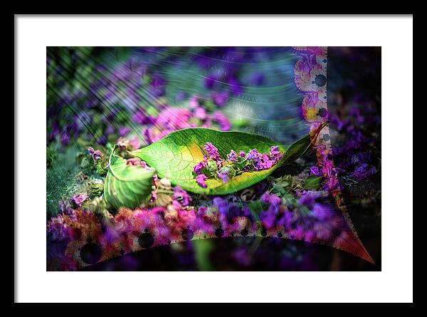 Magenta Petals Carefully Carried by a Leaf - Framed Print