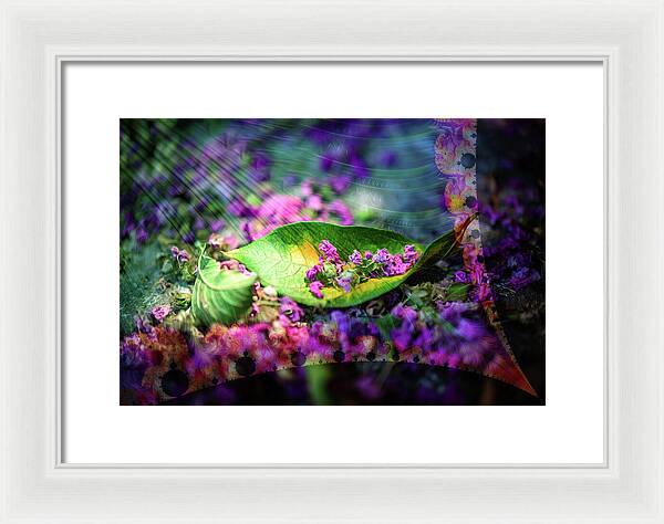 Magenta Petals Carefully Carried by a Leaf - Framed Print