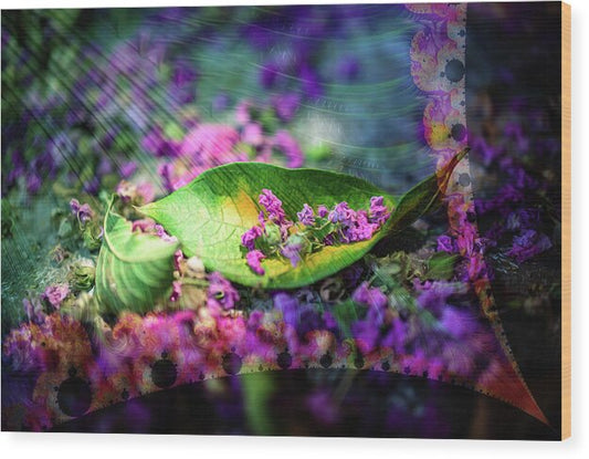 Magenta Petals Carefully Carried by a Leaf - Wood Print