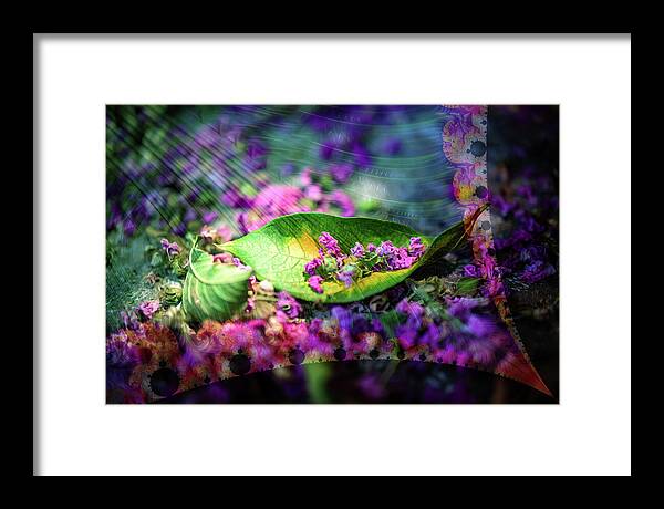 Magenta Petals Carefully Carried by a Leaf - Framed Print
