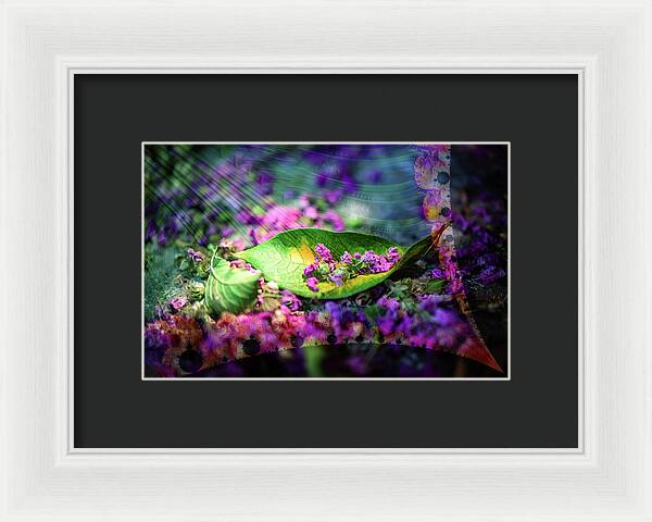 Magenta Petals Carefully Carried by a Leaf - Framed Print
