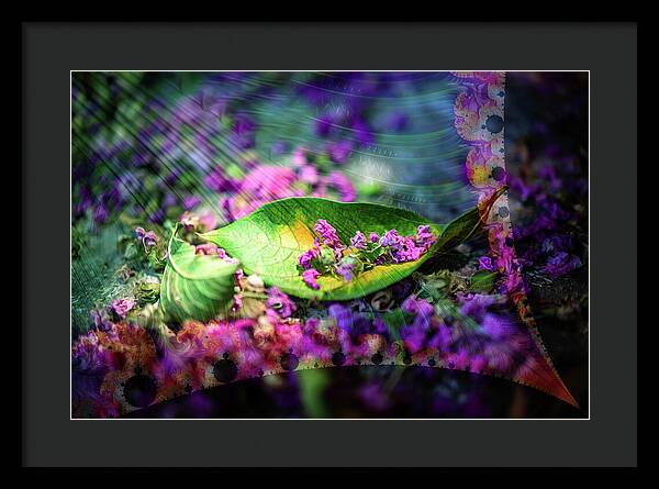 Magenta Petals Carefully Carried by a Leaf - Framed Print
