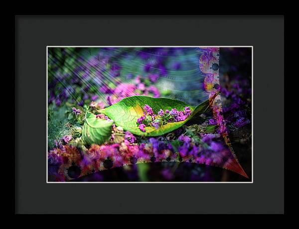 Magenta Petals Carefully Carried by a Leaf - Framed Print