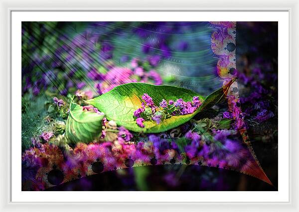 Magenta Petals Carefully Carried by a Leaf - Framed Print