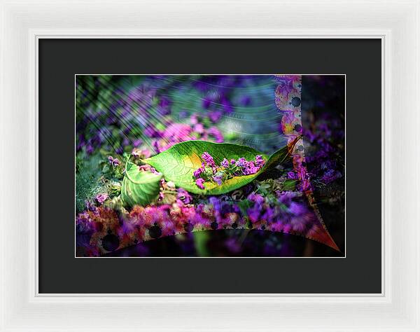 Magenta Petals Carefully Carried by a Leaf - Framed Print