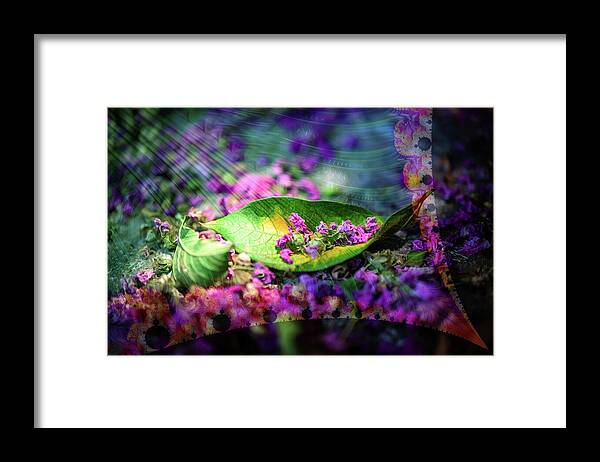 Magenta Petals Carefully Carried by a Leaf - Framed Print