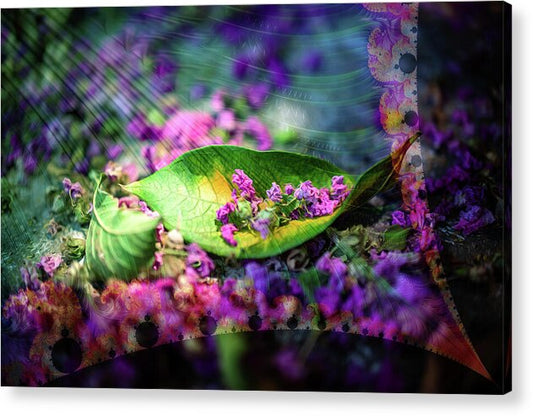 Magenta Petals Carefully Carried by a Leaf - Acrylic Print
