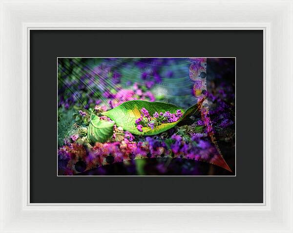 Magenta Petals Carefully Carried by a Leaf - Framed Print