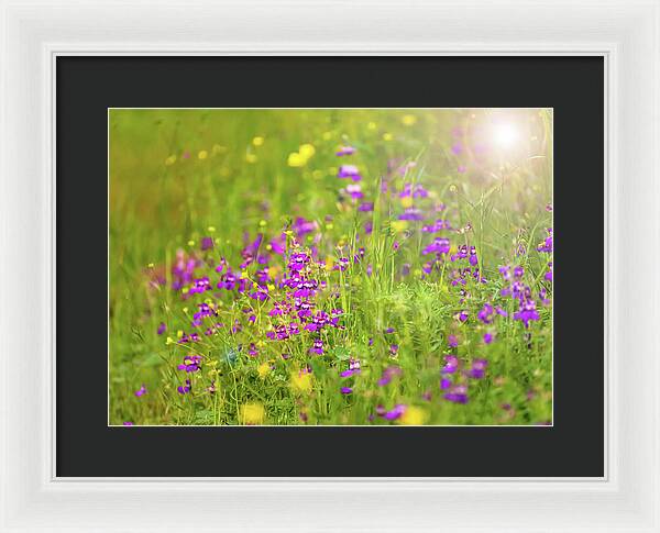 Magical Meadows with Purple and Yellow Flowers - Framed Print