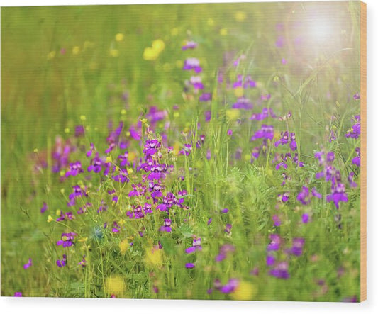 Magical Meadows with Purple and Yellow Flowers - Wood Print