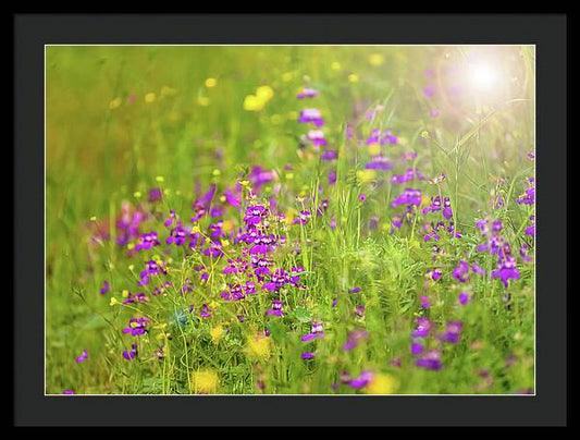 Magical Meadows with Purple and Yellow Flowers - Framed Print