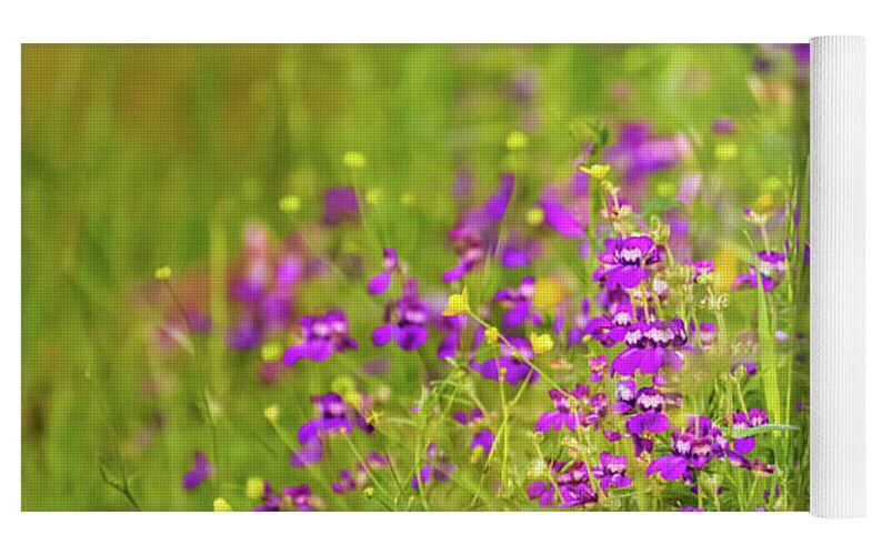 Magical Meadows with Purple and Yellow Flowers - Yoga Mat