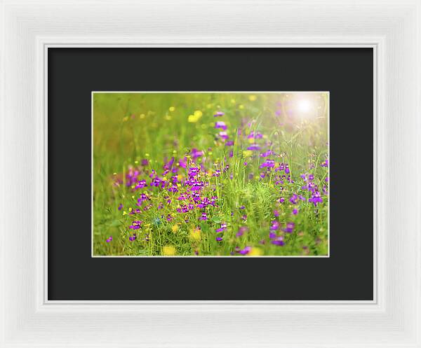 Magical Meadows with Purple and Yellow Flowers - Framed Print