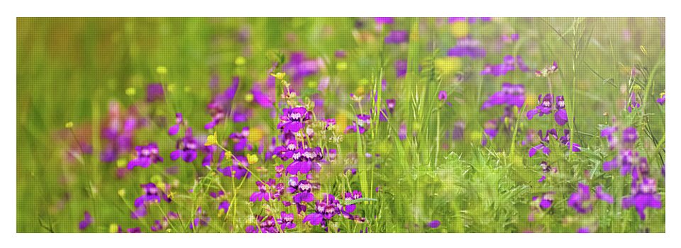 Magical Meadows with Purple and Yellow Flowers - Yoga Mat