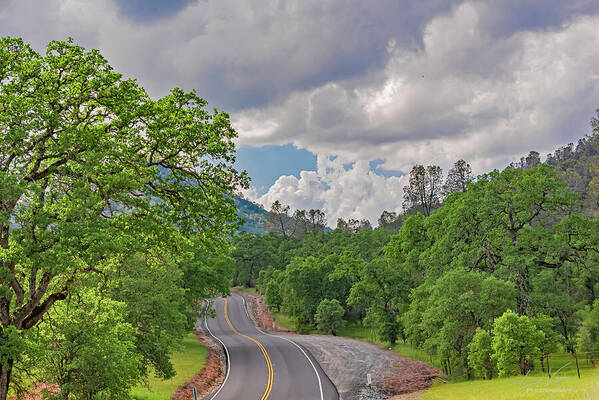 Mariposa County Roads - Art Print
