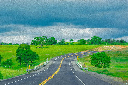 Natural Cloudy Day Road Landscape - Art Print