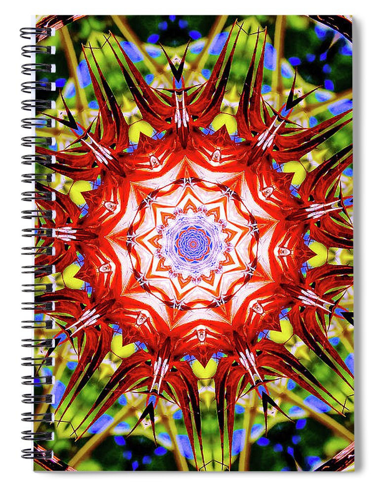 Nature's Fragments Mandala - Spiral Notebook