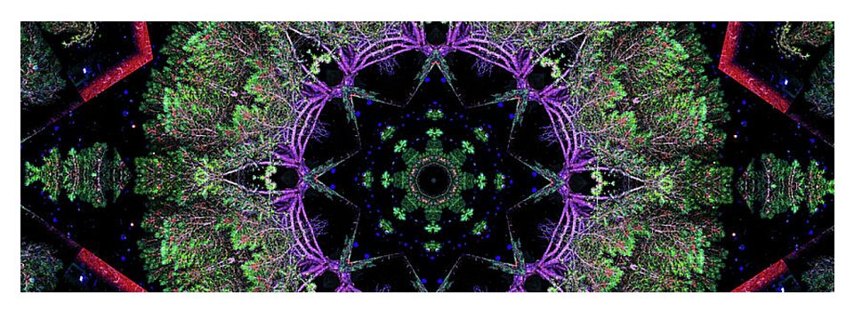 Natures Point Geometric Mandala - Yoga Mat