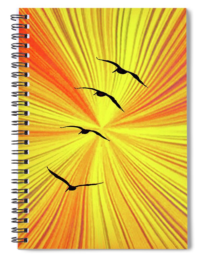 Orange Abstract Background and Birds - Spiral Notebook