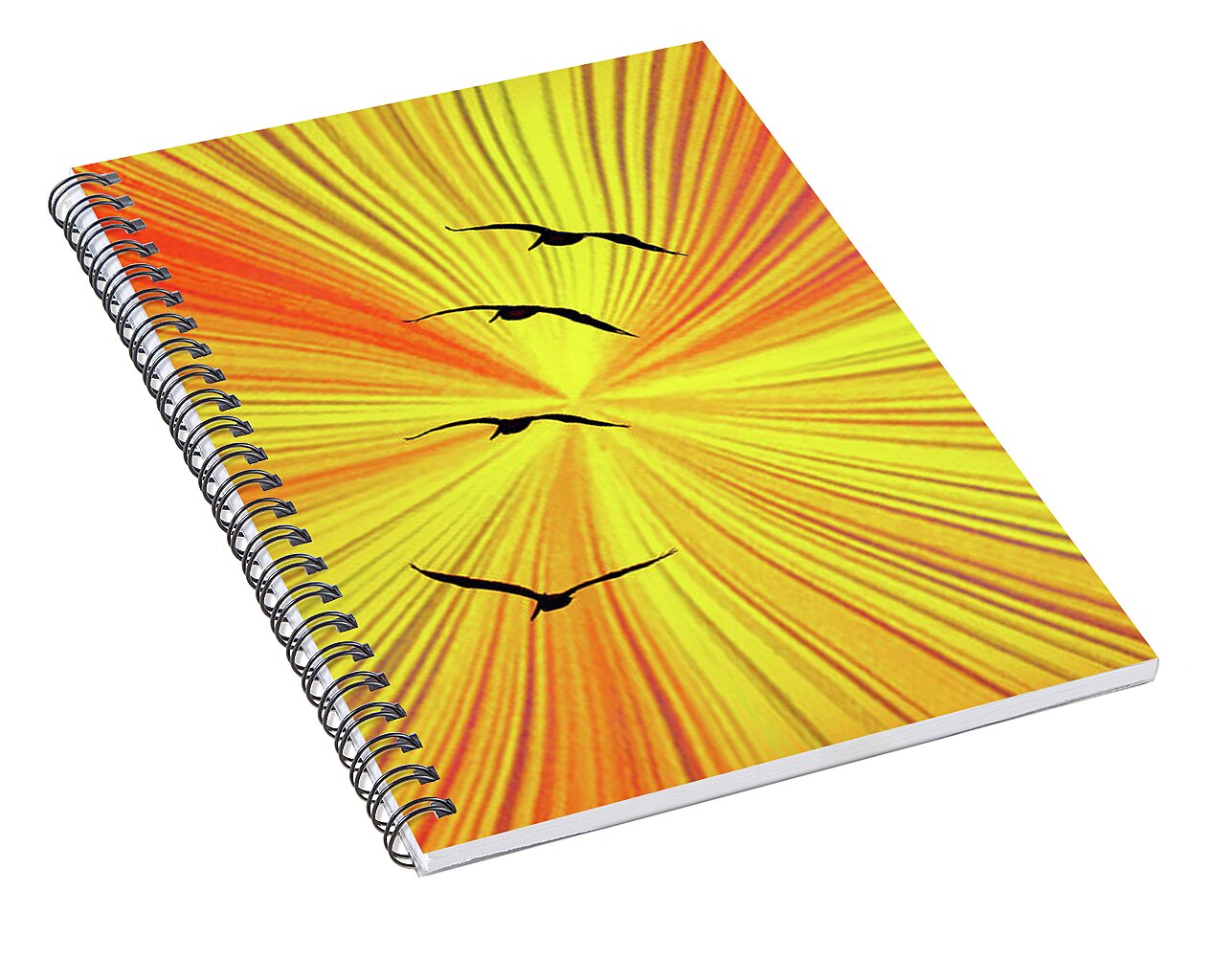 Orange Abstract Background and Birds - Spiral Notebook