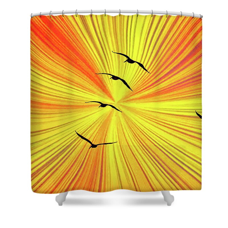 Orange Abstract Background and Birds - Shower Curtain