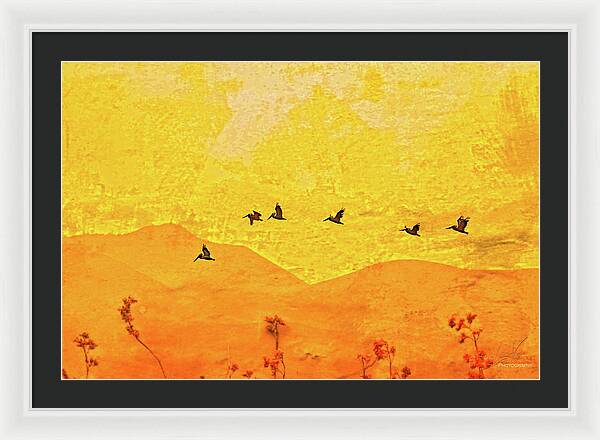 Orange bakcground and flying birds - Framed Print