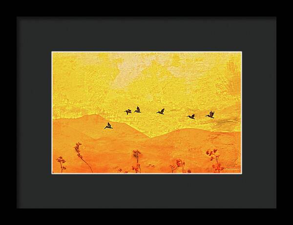 Orange bakcground and flying birds - Framed Print