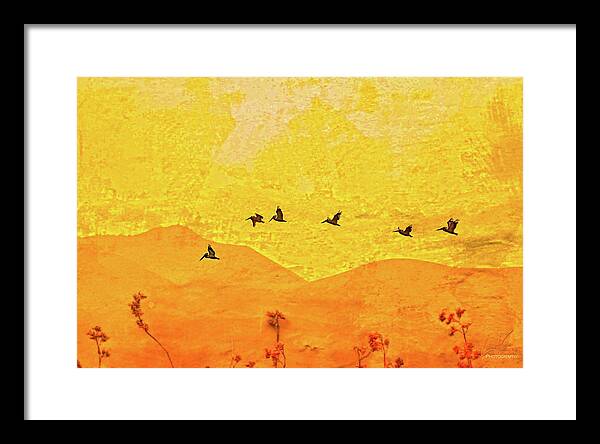 Orange bakcground and flying birds - Framed Print