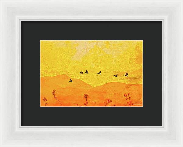 Orange bakcground and flying birds - Framed Print