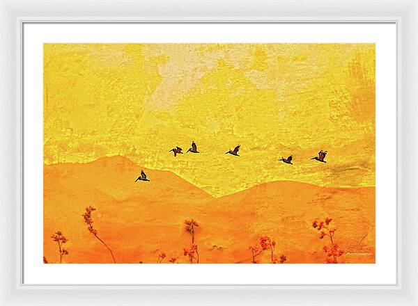 Orange bakcground and flying birds - Framed Print