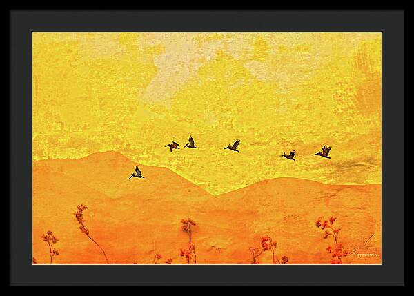 Orange bakcground and flying birds - Framed Print