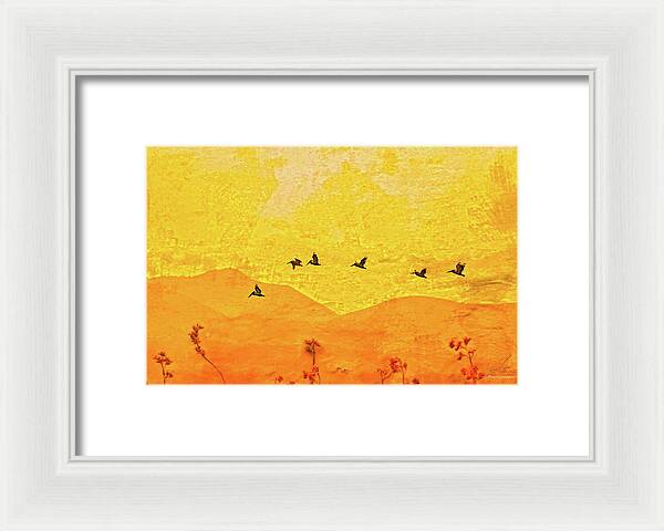 Orange bakcground and flying birds - Framed Print