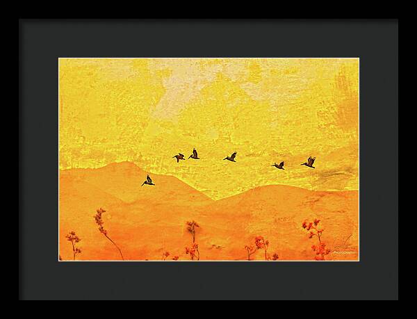 Orange bakcground and flying birds - Framed Print