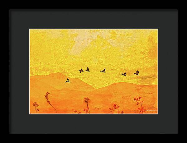 Orange bakcground and flying birds - Framed Print