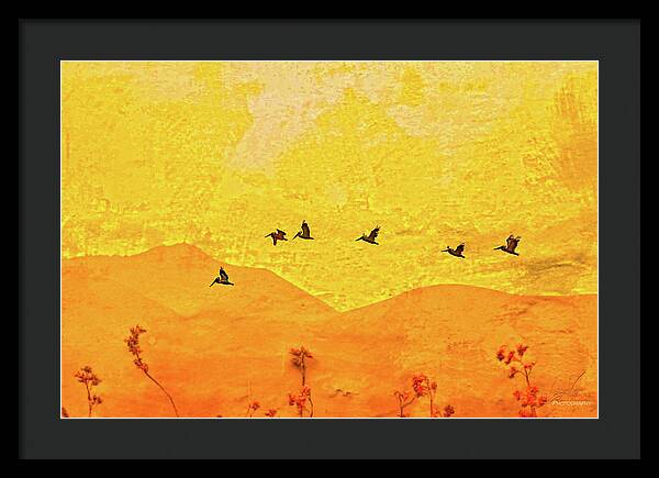 Orange bakcground and flying birds - Framed Print