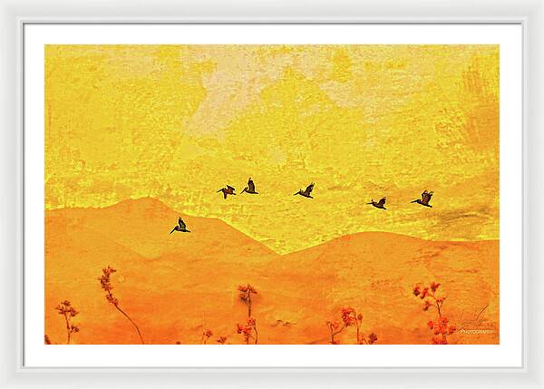 Orange bakcground and flying birds - Framed Print