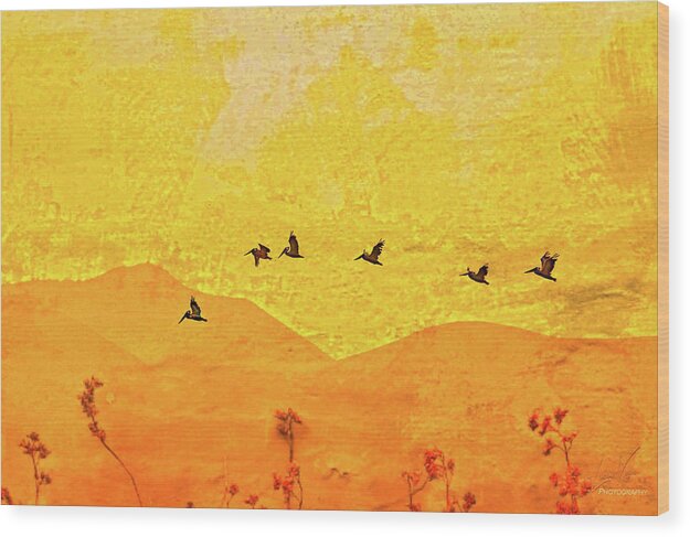 Orange bakcground and flying birds - Wood Print