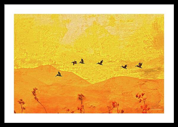 Orange bakcground and flying birds - Framed Print