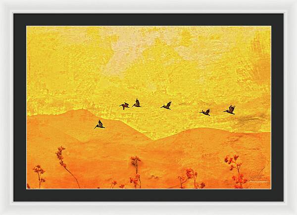 Orange bakcground and flying birds - Framed Print