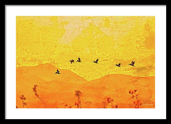 Orange bakcground and flying birds - Framed Print
