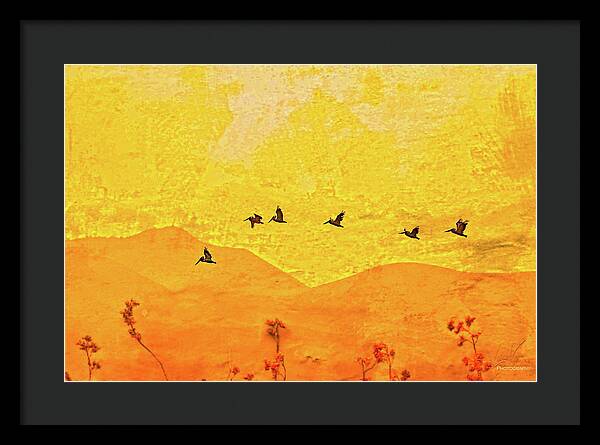Orange bakcground and flying birds - Framed Print