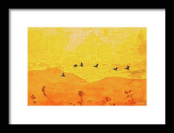 Orange bakcground and flying birds - Framed Print