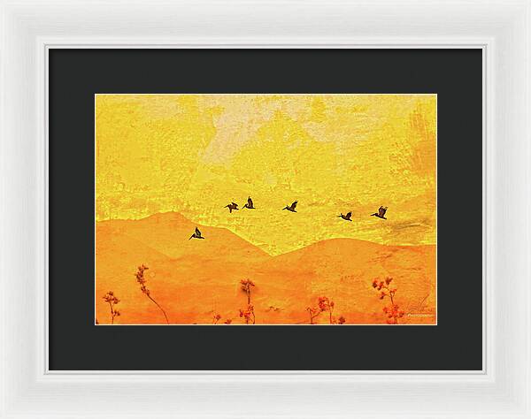 Orange bakcground and flying birds - Framed Print