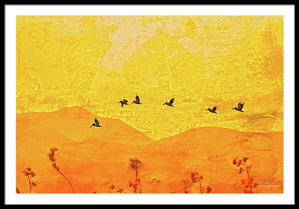 Orange bakcground and flying birds - Framed Print