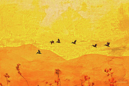 Orange bakcground and flying birds - Art Print