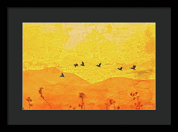 Orange bakcground and flying birds - Framed Print