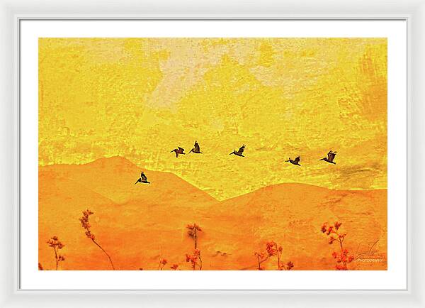 Orange bakcground and flying birds - Framed Print