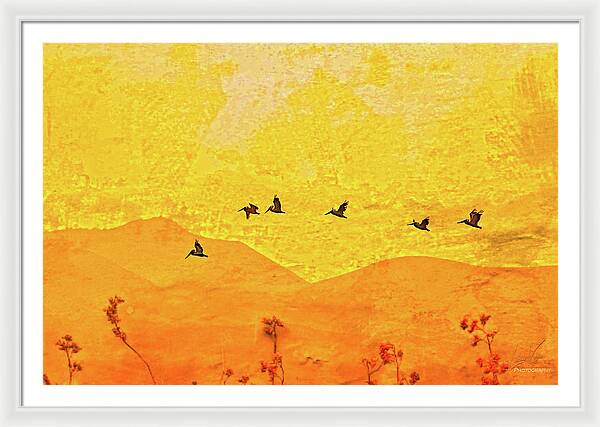 Orange bakcground and flying birds - Framed Print